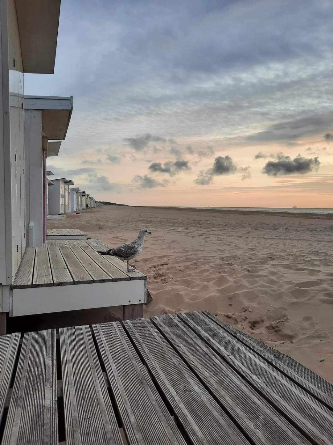 Calais Plage-Gare Appartement Elegant Tout Equipe Dış mekan fotoğraf